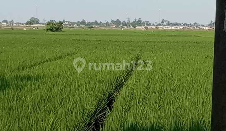 TANAH bagus untuk PERUMAHAN TANAH bagus untuk PERUMAHAN