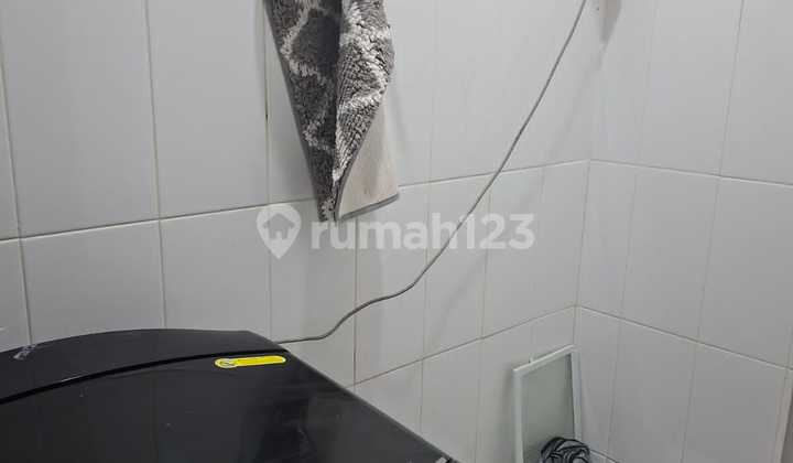 One Pine Tree For Sale House Ready to Occupy 2