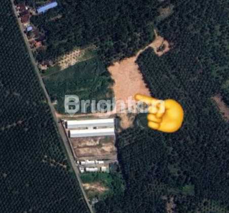 For Sale: Red Land Already Leveled, Suitable for Farming and Warehousing, Main Land: SHM 16,332 M, Access Road Land: SKGR 1,376 M, 30 Minutes from Kisaran City, 30 Minutes from Kisaran Toll Gate.