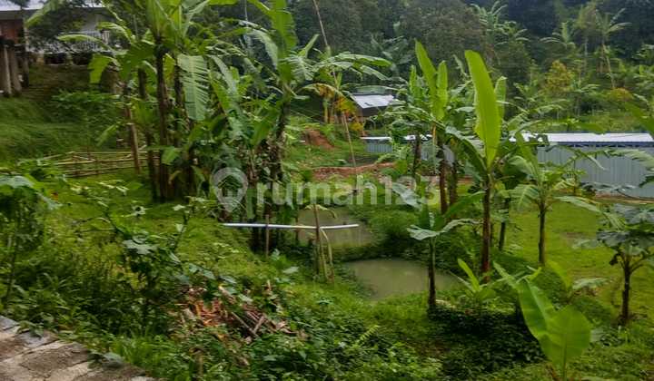 Tanah Utk Tempat Wisata Tanah Utk Tempat Wisata