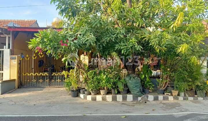 SHM House in Rungkut Asri for Sale