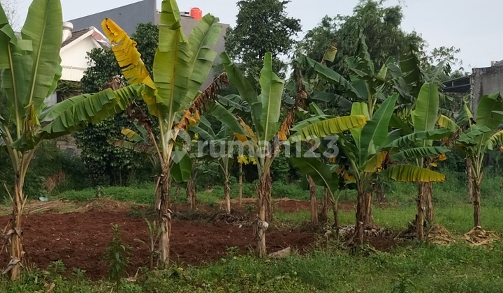 Dijual Cepat Tanah Hoek Bintaro Dkt Tol/Rspi/Global Jaya/Fm Dijual Cepat Tanah Hoek Bintaro Dkt Tol/Rspi/Global Jaya/Fm