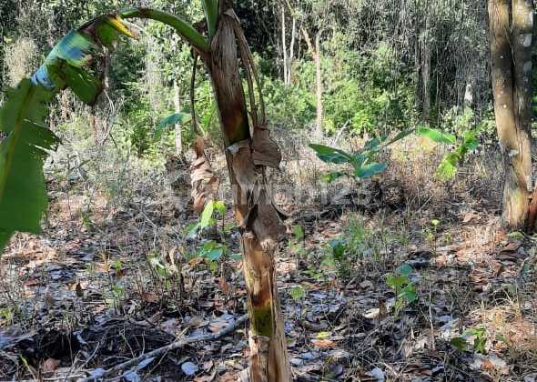 Jual Di Bawah Njop, Lahan 1.5 Ha Investasi Di Balikpapan