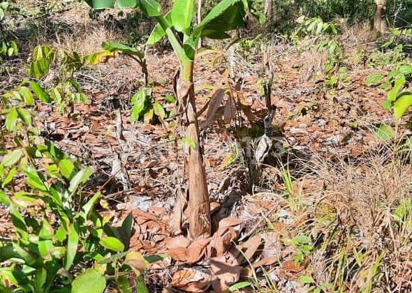 Jual Di Bawah Njop, Lahan 1.5 Ha Investasi Di Balikpapan