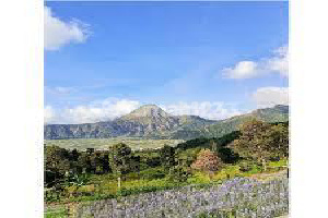 Tanah Langka Di Sembalun Rinjani