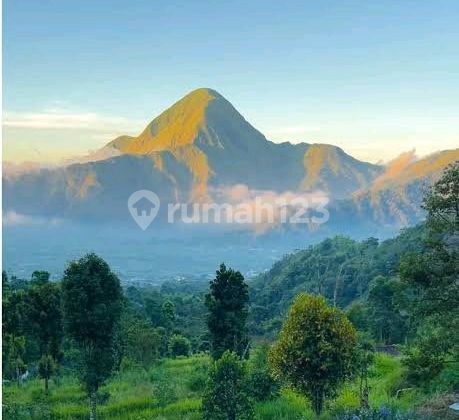 Dijual Tanah Persegi 5000m2 Sembalun Rinjani