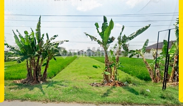 Tanah 1100M Siap Bangun Strategis Tepi Jl Utama Sapen Mojolaban Tanah 1100M Siap Bangun Strategis Tepi Jl Utama Sapen Mojolaban