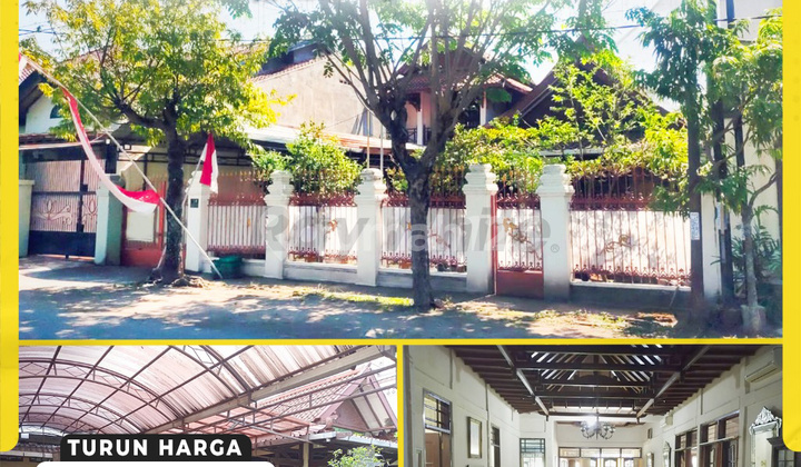 Rumah 4Kamar Luas 1000Meter Siap Huni di Sumber Banjarsari Solo Rumah 4Kamar Luas 1000Meter Siap Huni di Sumber Banjarsari Solo