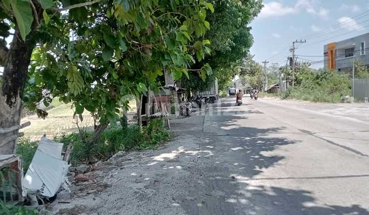 For Rent Super Large & Strategic Land, Container Access, Near Kartasura Sukoharjo Toll Gate