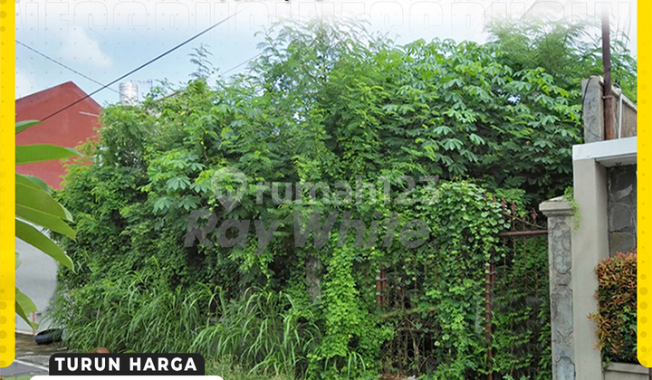 Tanah Strategis Akses Simpangan mobil dekat Sriwedari Solo Tanah Strategis Akses Simpangan mobil dekat Sriwedari Solo