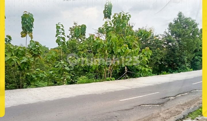 Tanah Dijual Luas 2684 Akses jalan Lebar Gondangrejo Karanganyar