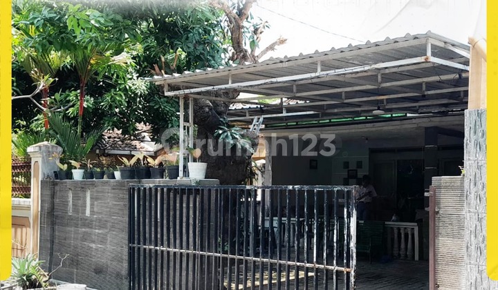 Rumah 3Kamar Siap Huni Dekat Stadion Manahan Banjarsari Solo Rumah 3Kamar Siap Huni Dekat Stadion Manahan Banjarsari Solo