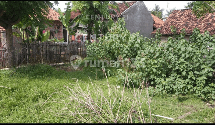 Dijual Murah Tanah di Kampung Tambun Baru Bekasi S9615