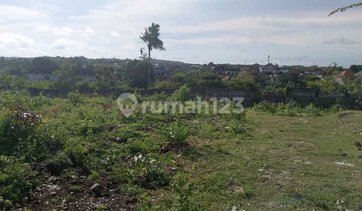 Lokasi Premium Tanah 2000 M2 SHM Ungasan, Badung