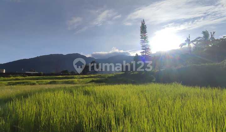 Large Land in Cisarua, Bogor Suitable for Investment !! Large Land in Cisarua, Bogor Suitable for Investment !!