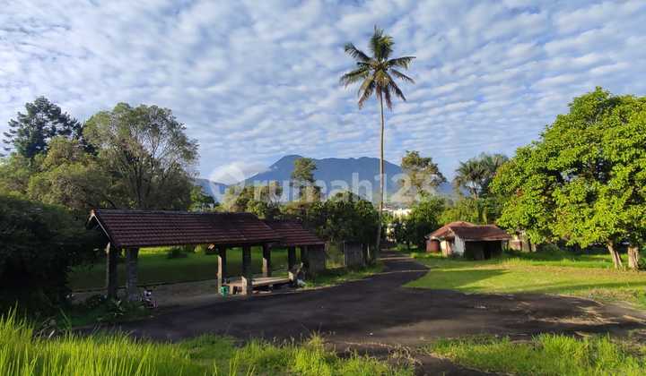 Large Land in Cisarua, Bogor Suitable for Investment !! Large Land in Cisarua, Bogor Suitable for Investment !!