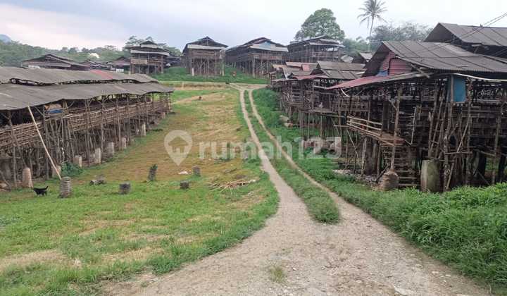 Poultry Farm, SHM = 7 Ha; AJB = 0.8 Ha; Eggs = 6.7 tons/day; Chickens = 210,000 Poultry Farm, SHM = 7 Ha; AJB = 0.8 Ha; Eggs = 6.7 tons/day; Chickens = 210,000