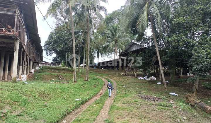 Poultry Farm, SHM = 7 Ha; AJB = 0.8 Ha; Eggs = 6.7 tons/day; Chickens = 210,000 Poultry Farm, SHM = 7 Ha; AJB = 0.8 Ha; Eggs = 6.7 tons/day; Chickens = 210,000