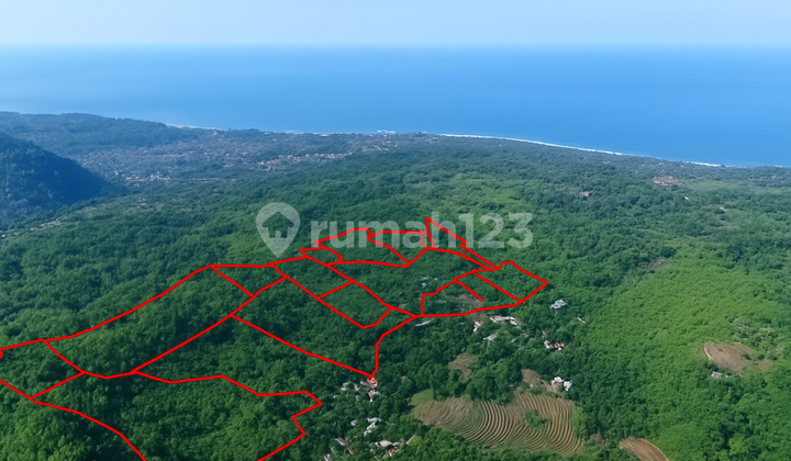 Lokasi Sumber Supplier Ekspor Daun Pisang Pertanian Perkebunan Peternakan Strategis Pelabuhan Ratu