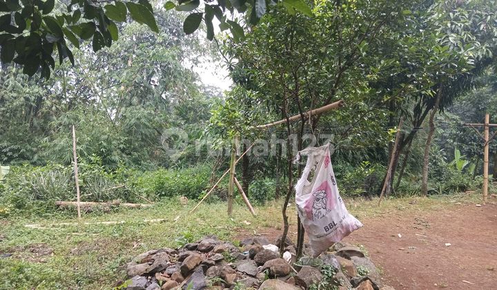 Cibanon Sukaraja Towards Gadog Near PT KAA Sold by Mrs. Below NJOP