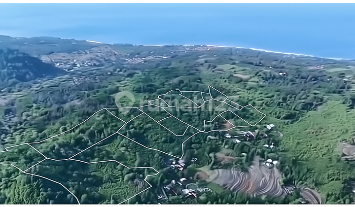 Lokasi Sumber Supplier Ekspor Daun Pisang Pertanian Perkebunan Peternakan Strategis Pelabuhan Ratu