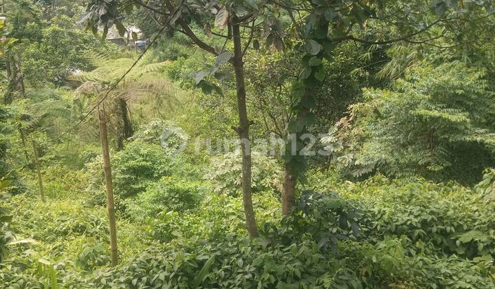 Tanah Strategis For Villa Pasir Angin. Lahan Porang Ekspor Bagus Tanah Strategis For Villa Pasir Angin. Lahan Porang Ekspor Bagus