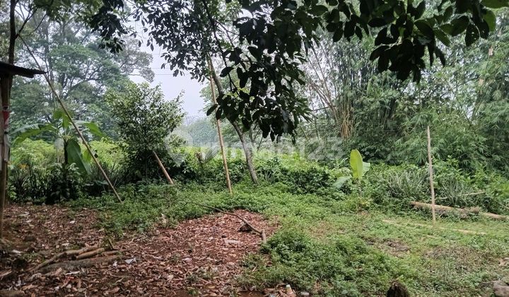 Cibanon Sukaraja Towards Gadog Near PT KAA Sold by Mrs. Below NJOP