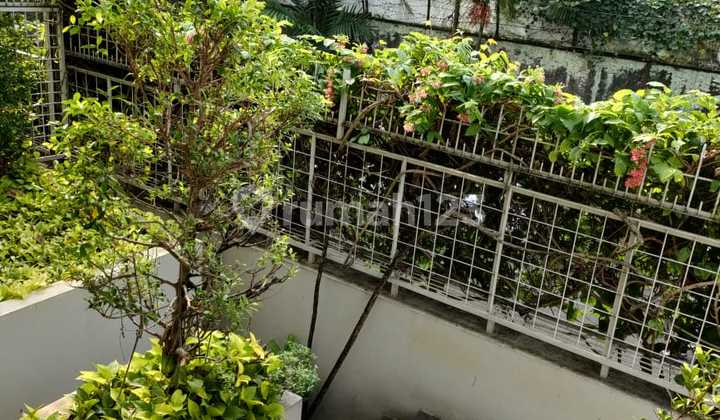 Disewakan rumah bagus siap huni expatriate area, Kuningan Jakarta Selatan 2