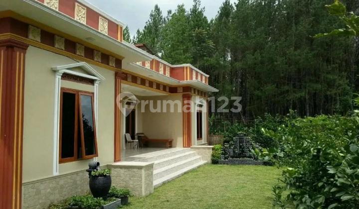 Lelang Villa Mewah Lembang Cibodas Harga Murah Lelang Villa Mewah Lembang Cibodas Harga Murah