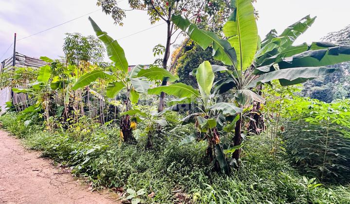  DIJUAL MURAH KAVLING SHM 304 m2 Ciseeng, Bogor