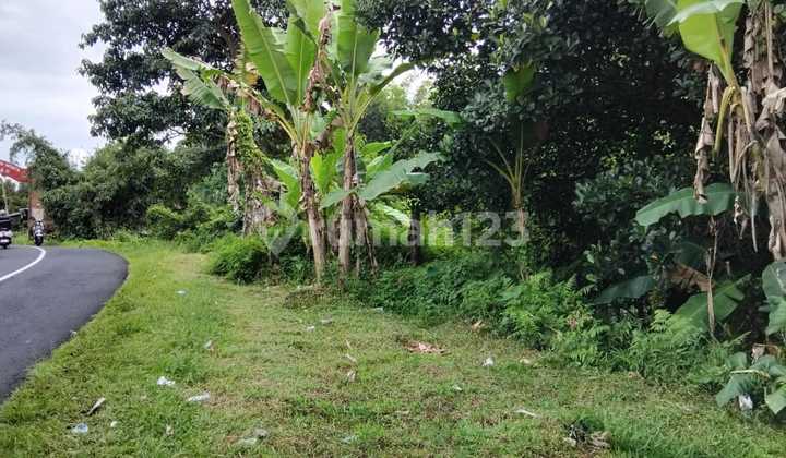 Tanah, Dekat Kampung Chocolate, Tabanan Tanah, Dekat Kampung Chocolate, Tabanan