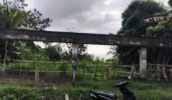 Tanah dekat Cau Chocolate Tabanan Tanah dekat Cau Chocolate Tabanan