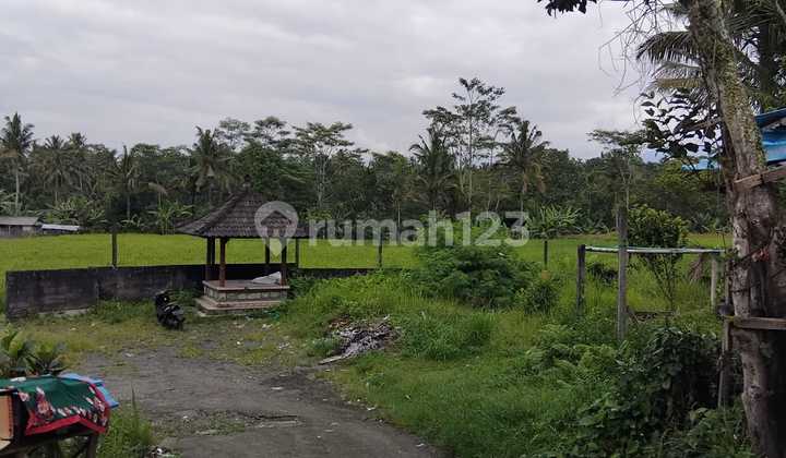 Tanah, dekat Cau Chocolate, Tabanan Tanah, dekat Cau Chocolate, Tabanan