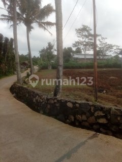 Di Jual Tanah Padat Cocok Untuk Cluster Di Cipageran