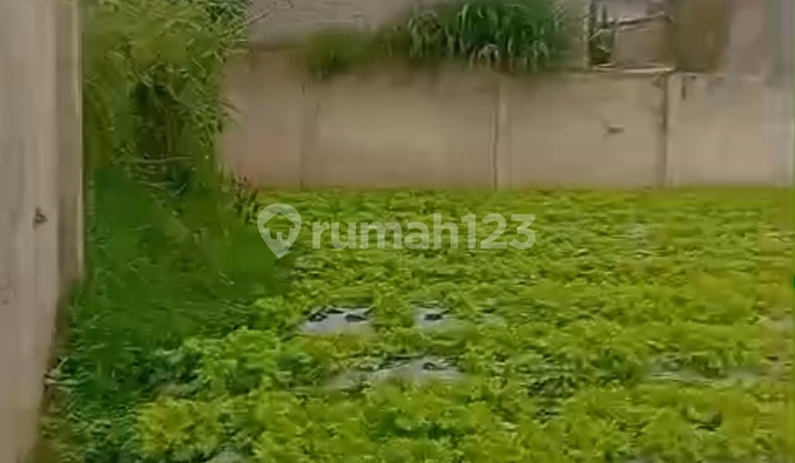 Di Jual Tanah Kebon Dalam Cluster Di Parongpong Cihanjuang Di Jual Tanah Kebon Dalam Cluster Di Parongpong Cihanjuang