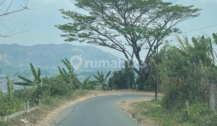 ******** Matang Cisarua Buat Investasi di Kantor Pemerintahan Kabupaten, Jl. Padalarang - Cisarua Km.2, Mekarsari, Ngamprah, Bandung Barat, Jawa Barat, Indonesia, 40552, Cisarua Ha 5.4 SHM Tanah ******** Matang Cisarua Buat Investasi di Kantor Pemerintahan Kabupaten, Jl. Padalarang - Cisarua Km.2, Mekarsari, Ngamprah, Bandung Barat, Jawa Barat, Indonesia, 40552, Cisarua Ha 5.4 SHM Tanah