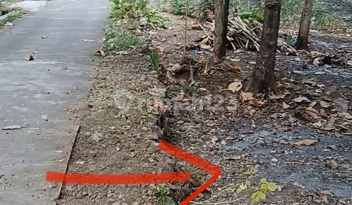 Kavling Sedayu Bagus