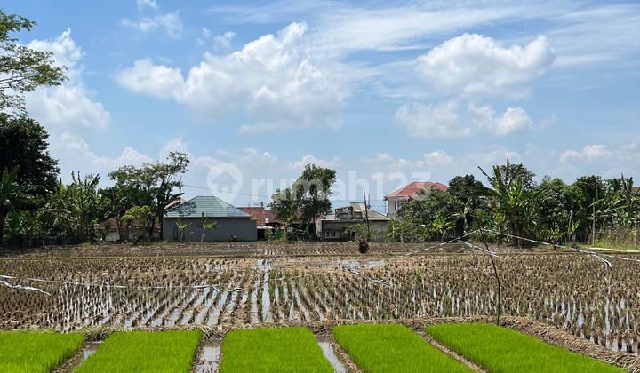 Dijual Tanah Shm Di Jln Pahlawan (gasol) Cianjur, Jawa Barat. Lt. 1856m² Rp.500.000/m² Dijual Tanah Shm Di Jln Pahlawan (gasol) Cianjur, Jawa Barat. Lt. 1856m² Rp.500.000/m²