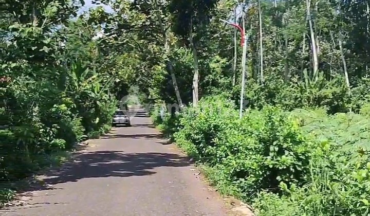 Tanah Dijual SHM Hak Milik Pribadi Jl Raya Nongko Lanang Wonoplumbon Mijen Semarang Barat 1