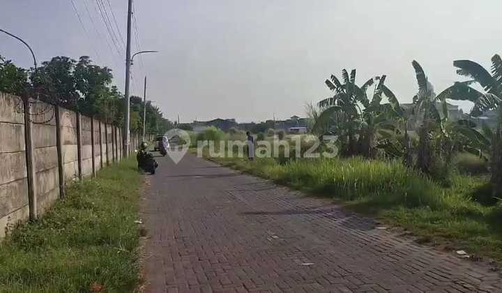 Land for Sale SHM Ownership in Front of Sang Prabu Housing Next to Tamansari Majapahit Pedurungan East Semarang 2