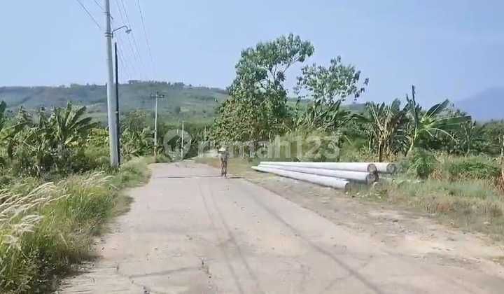 Land for Sale 20 m Wide Road SHM Ownership on Jl Raya Rowosari, Tembalang, East Semarang 1