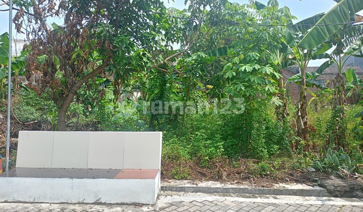 Tanah Dijual Pojok SHM Hak Milik  di Perum Berlian Kel Sambiroto Tembalang Semarang Timur 2