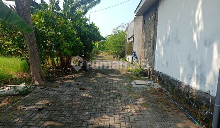 Tanah Dijual SHM Hak Milik Pedurungan Tengah Dkt Jl Raya Wolter Monginsidi/Ganesha Semarang Timur 2