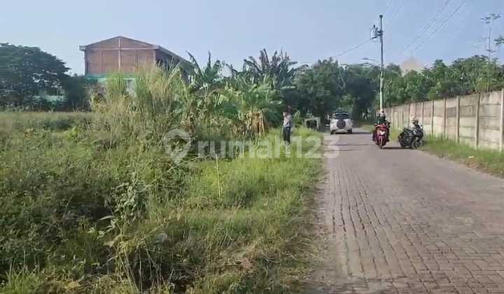 Tanah Dijual SHM Hak Milik Dpn Perum Sang Prabu Sblh Tamansari Majapahit Pedurungan Smg Timur 2