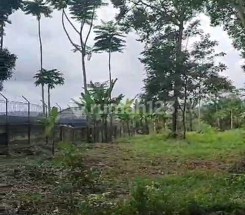 Dijual Tanah Utk Perumahan Jl Raya Sblh Bsb City Pesantren Kec Mijen Semarang Barat Dijual Tanah Utk Perumahan Jl Raya Sblh Bsb City Pesantren Kec Mijen Semarang Barat