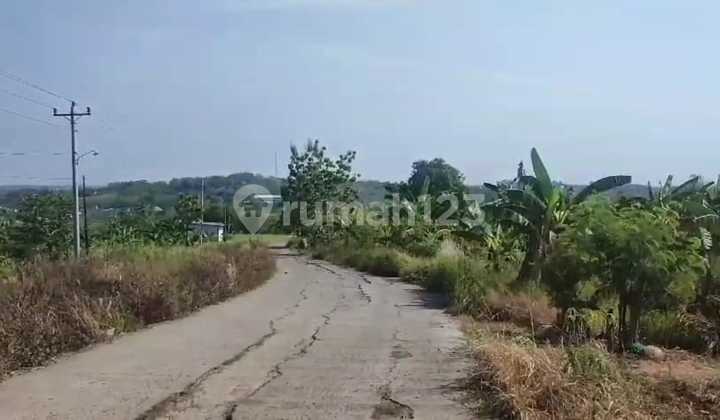 Land for Sale with Freehold Certificate for Housing on Jl. Raya Rowosari, Tembalang Subdistrict, East Semarang 1