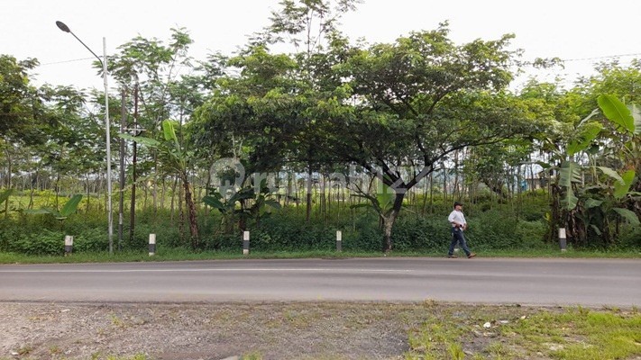 Tanah Dijual SHM Hak Milik Jl Raya Cangkiran - Gunungpati Polaman Mijen Kota Semarang