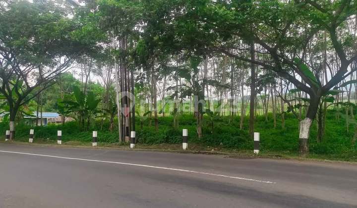 Tanah Dijual SHM Hak Milik Jl Raya Cangkiran - Gunungpati Polaman Mijen Kota Semarang 2