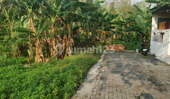 Tanah Dijual SHM Hak Milik Jl Candi Kalasan Kalipancur Ngaliyan Semarang Barat 2