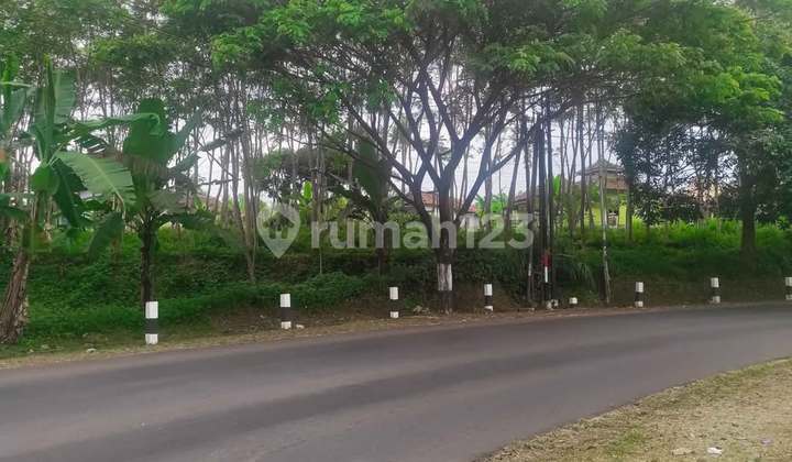 Tanah Dijual SHM Hak Milik Jl Raya Cangkiran - Gunungpati Polaman Mijen Kota Semarang 1